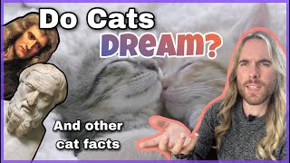 Do Cats Dream Do Cats Have Elbows 10 Surprising Facts about Cats