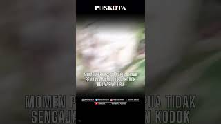 Download lagu Momen Pria Asal Papua Tidak Sengaja Menemukan Kodok Berwarna Biru mp3