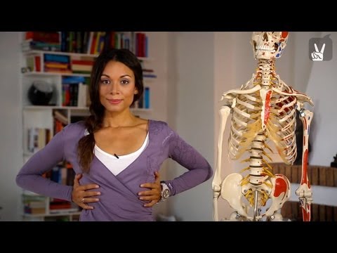 download lagu mp3 mp4 Atmen Pilates, download lagu Atmen Pilates gratis, unduh video klip Atmen Pilates