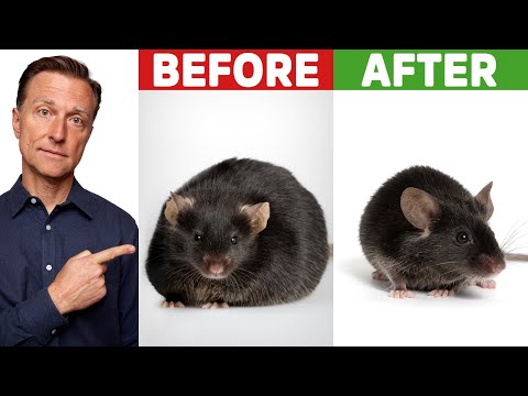 Why Sit Ups Are Bad Exercise to Reduce Belly Fat – Exercise for Belly Fat – Dr Berg