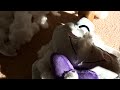 I Destroyed The Shayy Plush REUPLOAD
