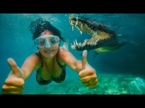 10 Scariest Underwater Attacks!