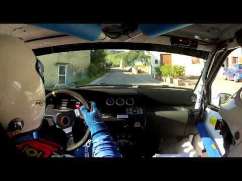 SARTORI - SIGNORINI:RALLY 2 VALLI 2013