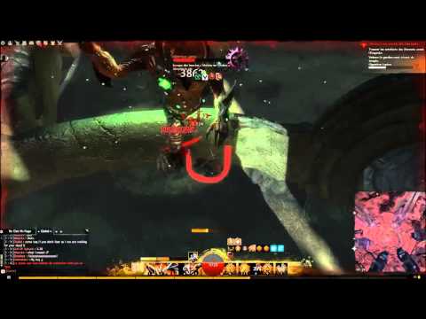 GW2 [Valkyrime] War solo lupicus ( Casual )