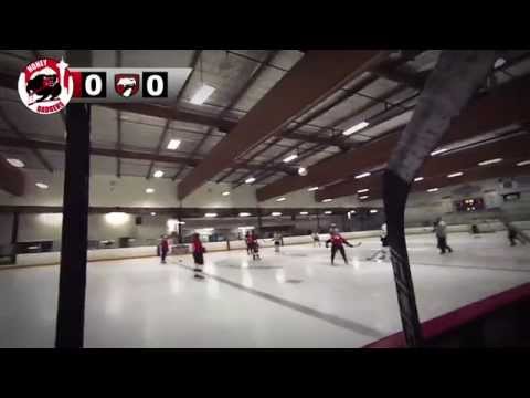 Honey Badgers vs Vipers Winter 2014