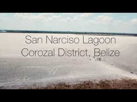 Sapote Lagoon, San Narciso, Corozal District, Belize