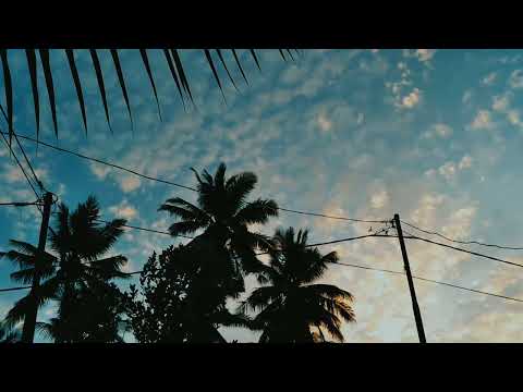 THE CINEMATIC REALME C21Y☘🌱 || VN