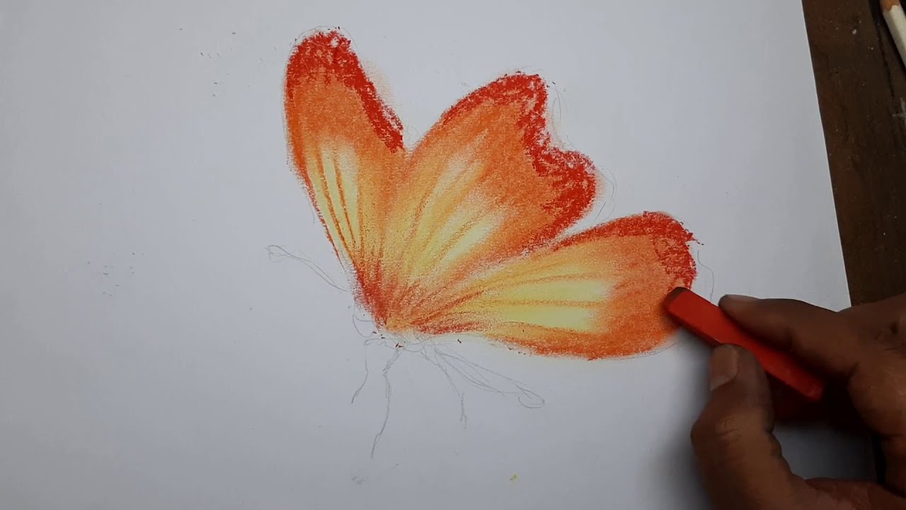 3d drawing of a butterfly 3d art 4 you