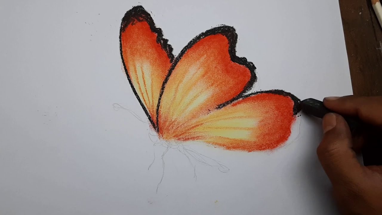 3d drawing of a butterfly 3d art 4 you Videos