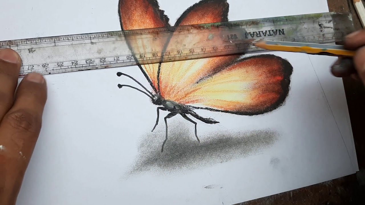 3d drawing of a butterfly 3d art 4 you