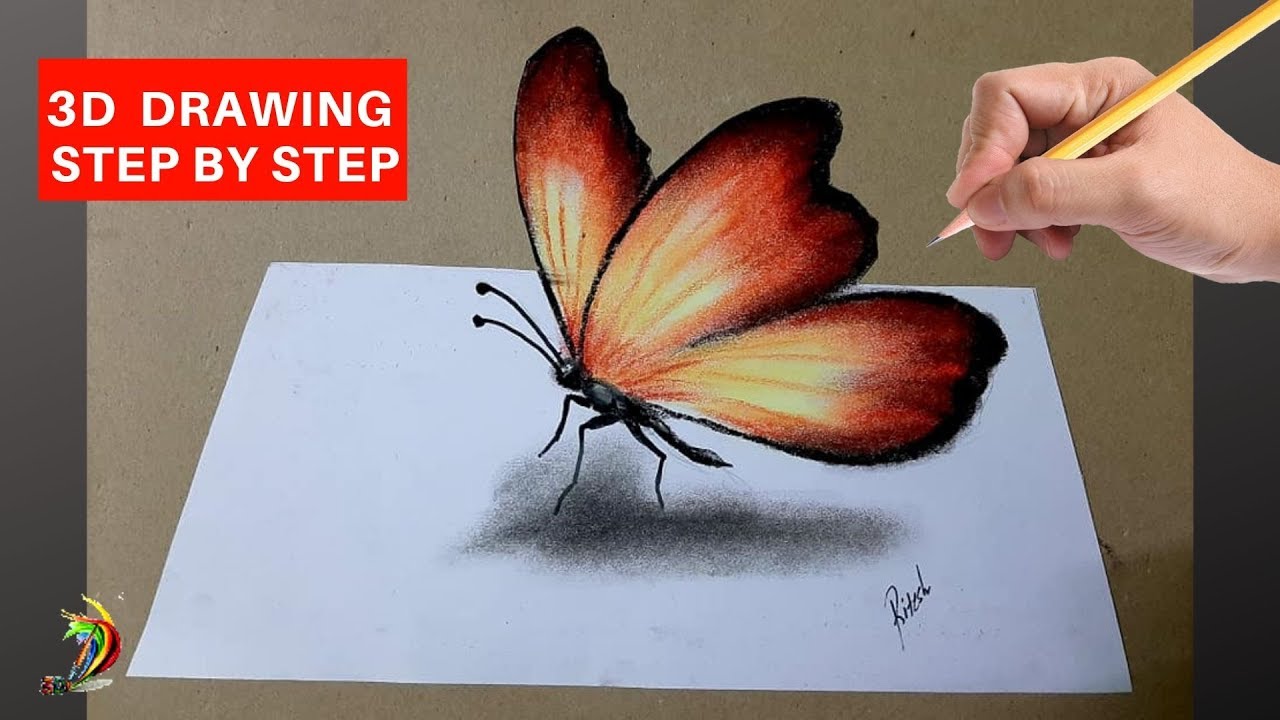 Drawing 3D butterfly step by step tutorials