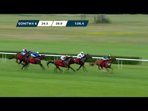 NAGRODA SYRENY – L (KAT. A) 30.07.2023 - (Dzień 22; Gonitwa 6)