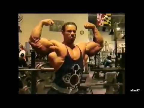 TOP 5 The Most Underrated Bodybuilders Ever