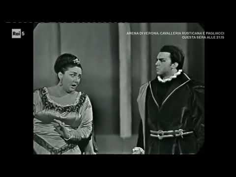 Rita Orlandi Malaspina & Gianfranco Cécchele: "Cielo di stelle orbato" (Verdi's "Simon Boccanegra")