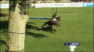 Video koně Carpalo 3