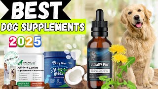 Because They’re Family – The 5 Best Dog Supplements of 2025
