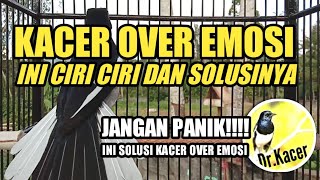 Download lagu KACER EMOSI? JANGAN PANIK! INI SOLUSINYA | DR KACER mp3