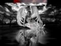 glykeria mexri na vroume ourano lyrics 