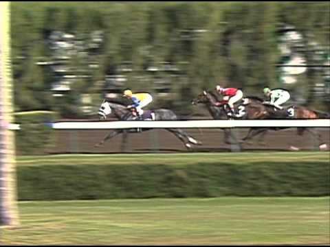 1989 Breeders' Cup Distaff