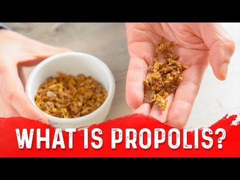 , title : 'The Unique Benefits of Propolis (Bee Glue) – Dr.Berg'