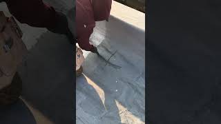 Perfect Roof Membrane Full of Water! Find out how WickRight stops moisture intrusion...