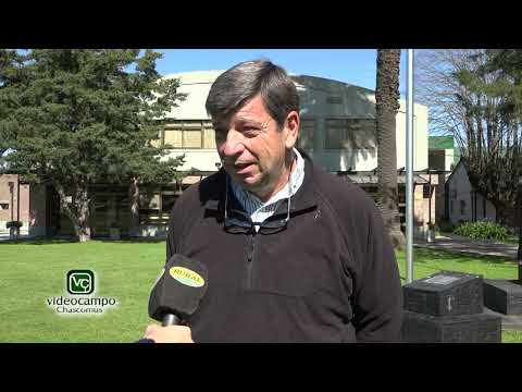 Expo Brandsen 2025 Gustavo Lorenti