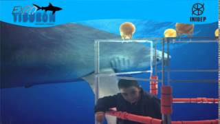 DIA 3 Expo Tiburon113