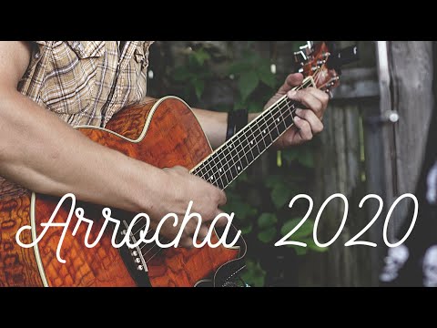 ARROCHA 2020 / BANDA 007 (musicas de arrocha mais tocadas) As top do momento