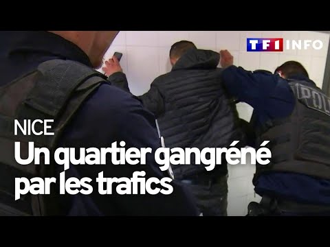 Le 20H vous emmène au coeur d'un quartier gangréné par les trafics