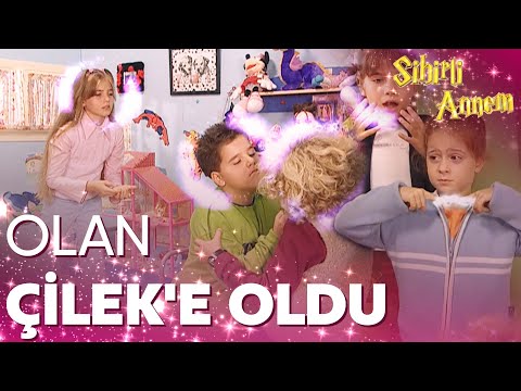 Cem, Kerem’i DÖVÜYOR!  🥊 | Sihirli Annem