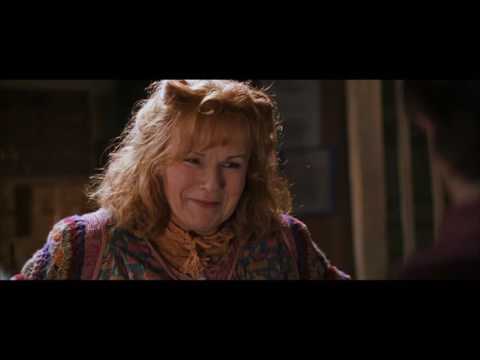 Harry Potter et la Chambre des Secrets - Le Terrier