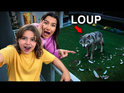 Un LOUP TERRIFIANT Attaque Notre Maison