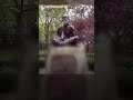 London Mahatma Gandhi Statue Vandalised Indian High Commission Condemns Act N18G