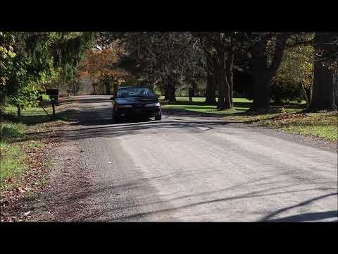 1989 Ford Thunderbird (CC-2121448) for sale in Milllington, Michigan