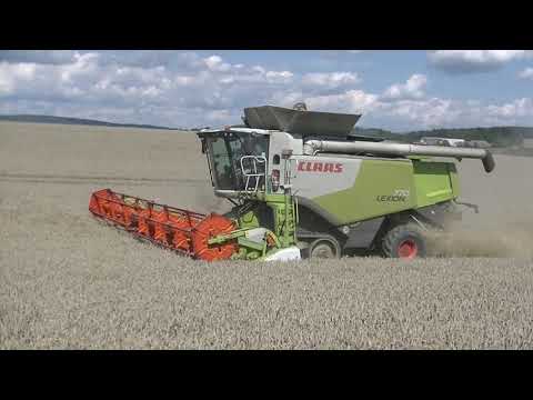 Sklizeň Pšenice 2021 Fendt 930 + Hawe a 2x Claas Lexion 770 TT