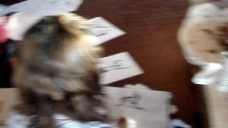 MODELO  RA JACOBY - TELEPHONE AND RUBBER BAND (THE PENGUIN CAFE ORCHESTRA)