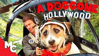 A Doggone Hollywood | Full Family Adventure Movie | Dog Movie
