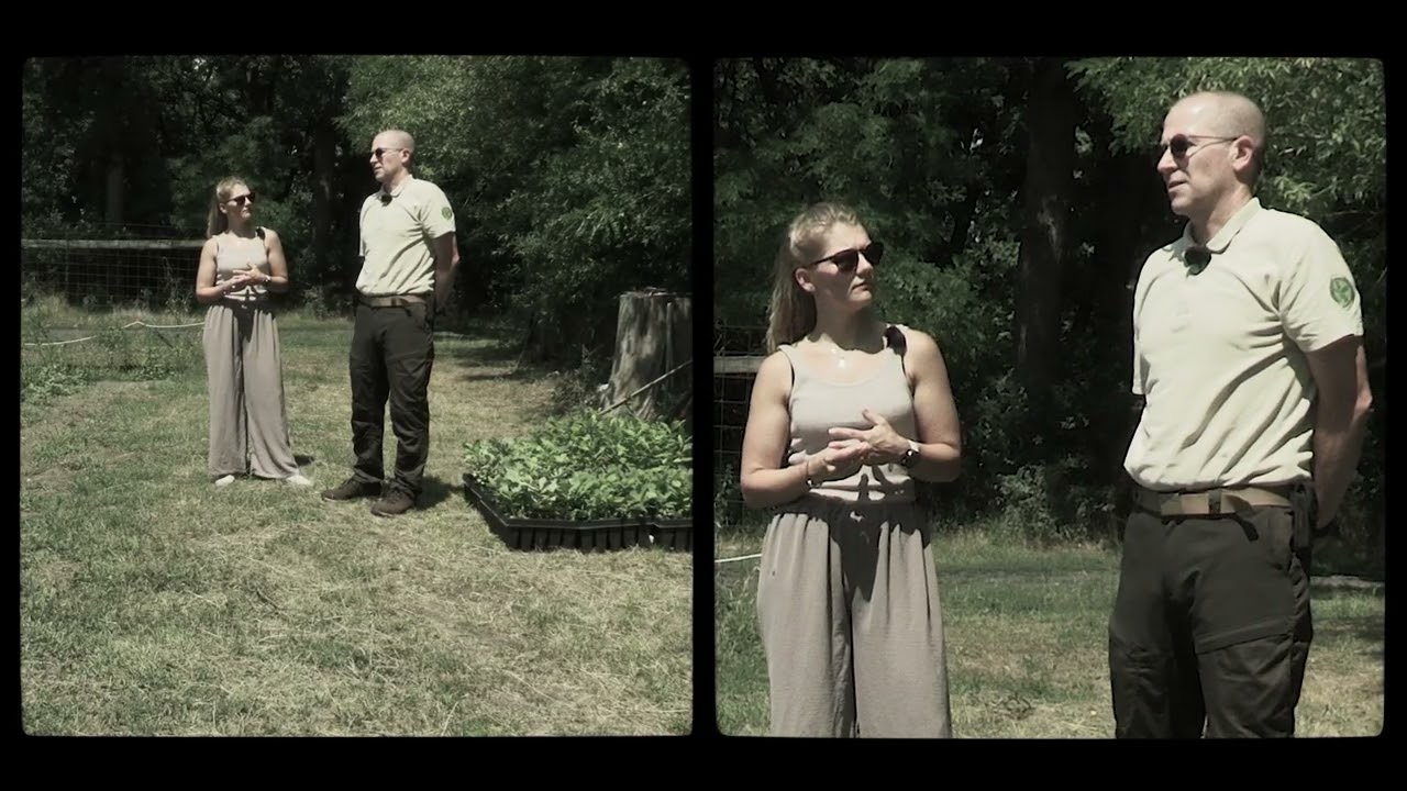 Csertölgyes csemetekert a Vérteserdőnél #erdőmánia #vérteserdő