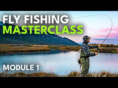 Fly Fishing for Beginners — A Step-by-Step Guide to Get Started