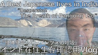 【インド在住 Vlog 】『絶体絶命!! パンゴンツォの呼吸』 #pangongtsolake #leh #ladakh #Changla #india #japanese