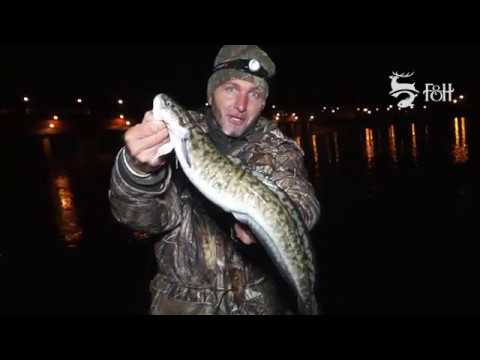 FEEDERMANIA - Bősi menyhalak feederbottal