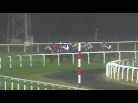 2017.09.22 Breeders' Trophy Juvenile (SWE) - Baltic Exchange