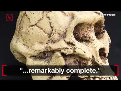 download lagu mp3 mp4 Adele Million Years Ago Skull, download lagu Adele Million Years Ago Skull gratis, unduh video klip Adele Million Years Ago Skull