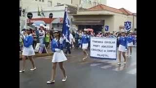 preview picture of video 'Desfile de 7 de Setembro em Palmital'