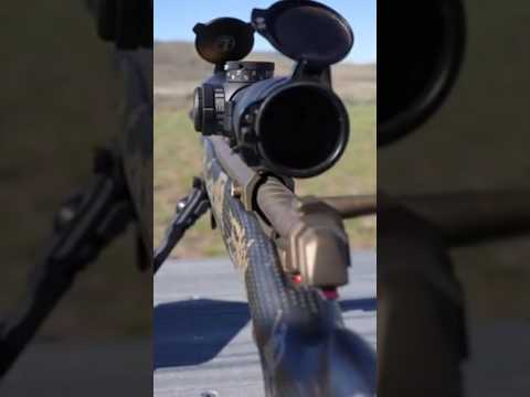 Browning X-Bolt Pro Rifle Family with Recoil Hawg. 2021.