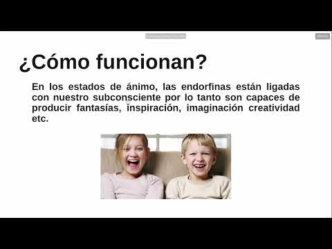 Neurotransmisores: Endorfinas - Fisiología