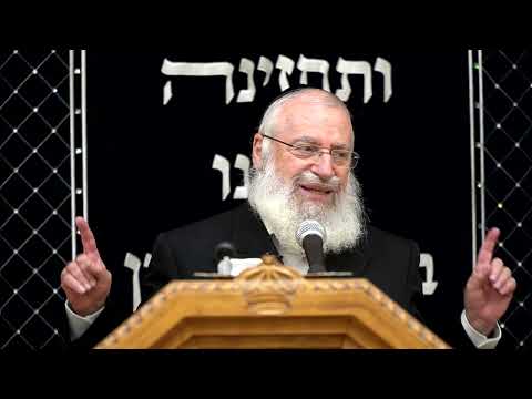 שבע ברכות חתנים | שיעור שבועי מאת מרן הרב אשר וייס שליט"א