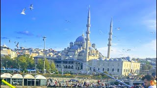 Istanbul Cruise Secrets They Don’t Want You to Know… Watch for FREE!