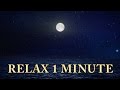 Relax 1 Min Sunset Ocean Moon Relaxing Music