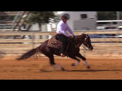 Smart Lil Custom - Yotam Mushlin // Rookie Reining - Israeli Championships